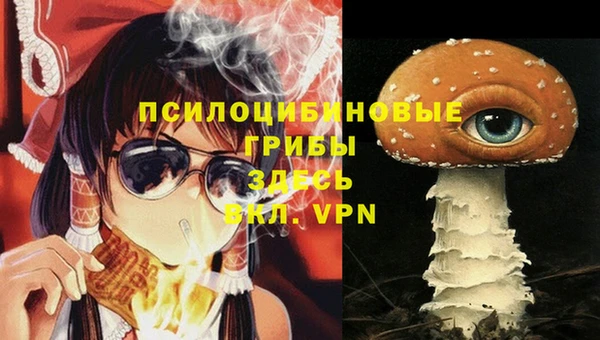 а пвп мука Абаза