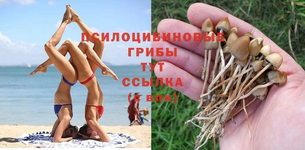 а пвп мука Абаза
